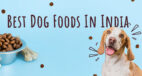 Best Dog Food for Your Furry Friend- Healthy and Nutritious
