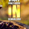 must visit vineyards in bengaluru